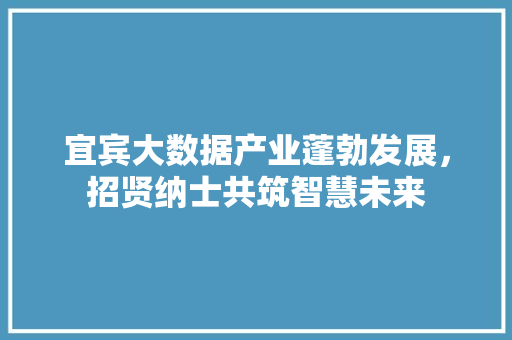 宜宾大数据产业蓬勃发展，招贤纳士共筑智慧未来