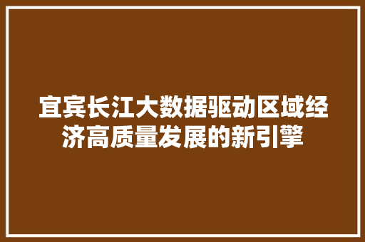 宜宾长江大数据驱动区域经济高质量发展的新引擎
