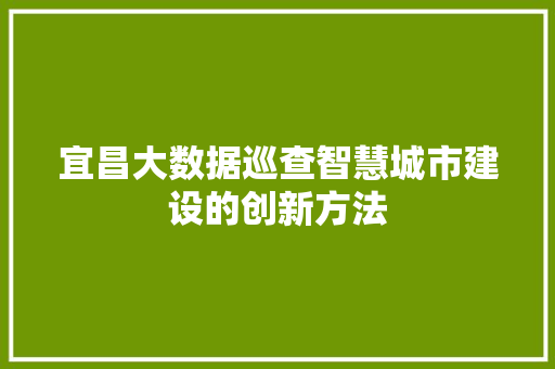 宜昌大数据巡查智慧城市建设的创新方法