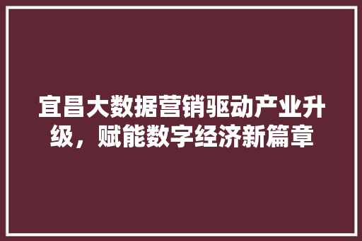 宜昌大数据营销驱动产业升级，赋能数字经济新篇章