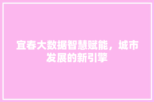 宜春大数据智慧赋能，城市发展的新引擎
