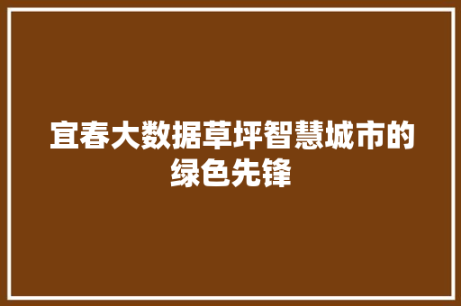 宜春大数据草坪智慧城市的绿色先锋