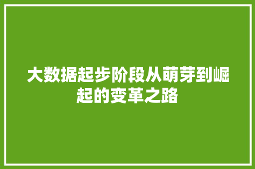 大数据起步阶段从萌芽到崛起的变革之路 操作系统 大数据起步阶段从萌芽到崛起的变革之路 操作系统