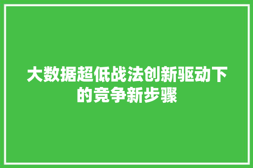 大数据超低战法创新驱动下的竞争新步骤