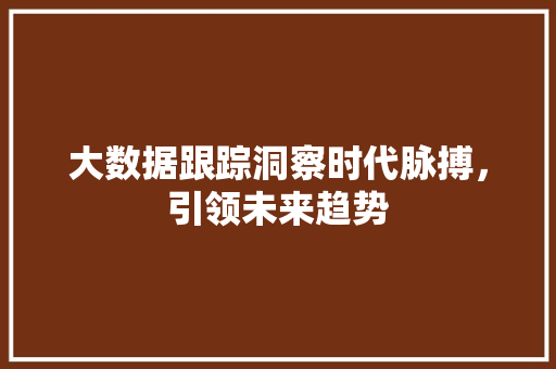 大数据跟踪洞察时代脉搏，引领未来趋势 电脑故障维修