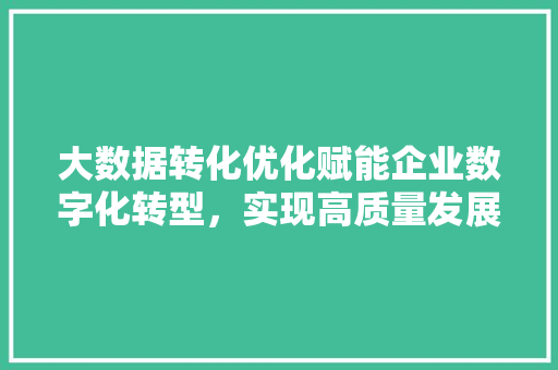 大数据转化优化赋能企业数字化转型,实现高质量发展 编程语言 大数据转化优化赋能企业数字化转型,实现高质量发展 编程语言