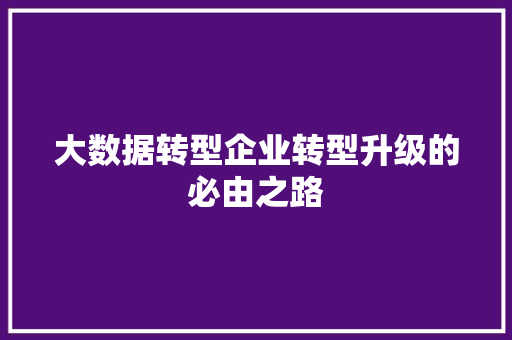 大数据转型企业转型升级的必由之路