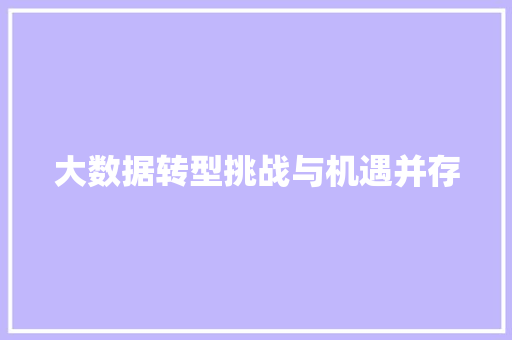 大数据转型挑战与机遇并存 电脑基础 大数据转型挑战与机遇并存 电脑基础