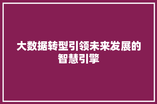 大数据转型引领未来发展的智慧引擎 编程语言 大数据转型引领未来发展的智慧引擎 编程语言
