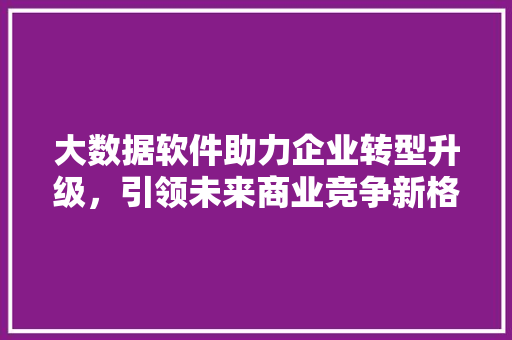 大数据软件助力企业转型升级，引领未来商业竞争新格局