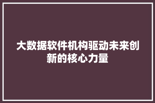 大数据软件机构驱动未来创新的核心力量 编程语言
