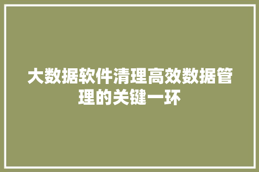 大数据软件清理高效数据管理的关键一环 电脑基础