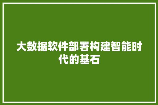 大数据软件部署构建智能时代的基石 网络技术 大数据软件部署构建智能时代的基石 网络技术
