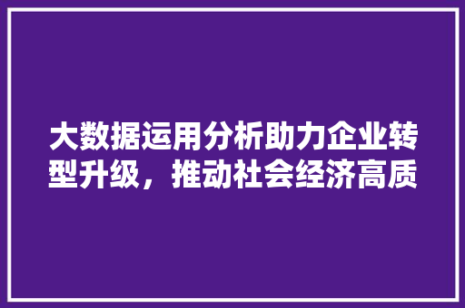 大数据运用分析助力企业转型升级，推动社会经济高质量发展 编程语言