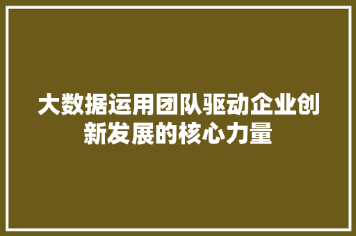 大数据运用团队驱动企业创新发展的核心力量 电脑配置