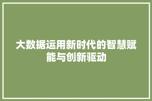 大数据运用新时代的智慧赋能与创新驱动 编程语言