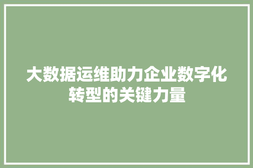 大数据运维助力企业数字化转型的关键力量 操作系统