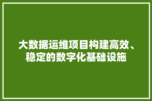大数据运维项目构建高效、稳定的数字化基础设施 网络技术