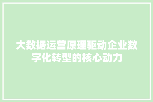 大数据运营原理驱动企业数字化转型的核心动力 操作系统