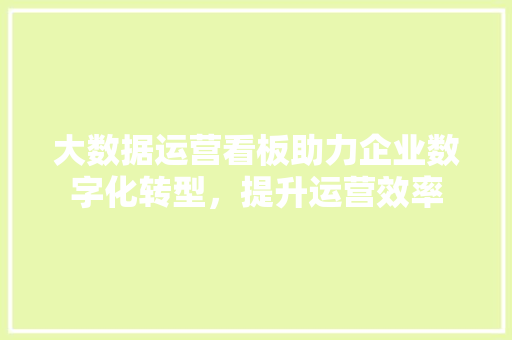 大数据运营看板助力企业数字化转型，提升运营效率