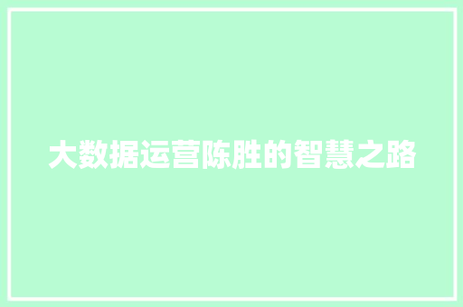 大数据运营陈胜的智慧之路