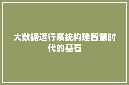 大数据运行系统构建智慧时代的基石 网络技术