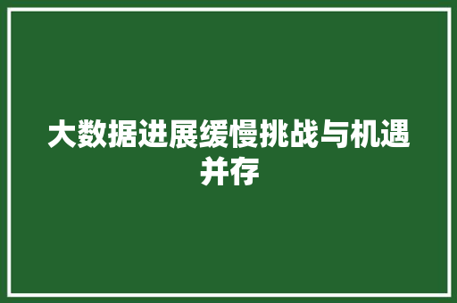 大数据进展缓慢挑战与机遇并存 电脑配置