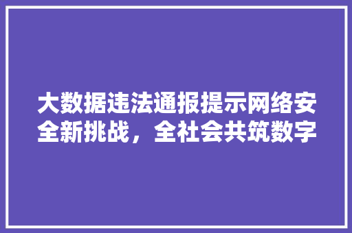 大数据违法通报提示网络安全新挑战，全社会共筑数字安全防线 编程语言
