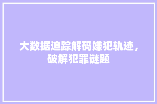 大数据追踪解码嫌犯轨迹，破解犯罪谜题