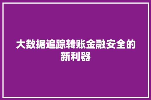 大数据追踪转账金融安全的新利器 网络技术