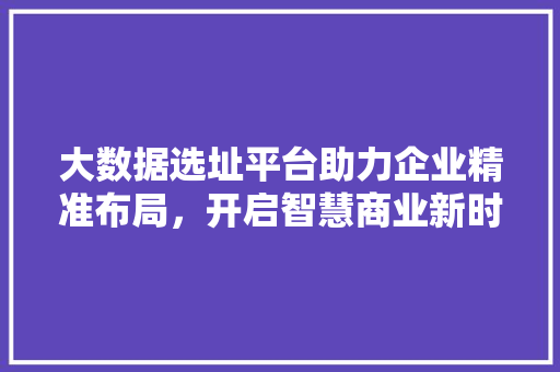 大数据选址平台助力企业精准布局，开启智慧商业新时代