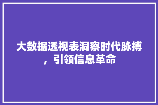 大数据透视表洞察时代脉搏，引领信息革命