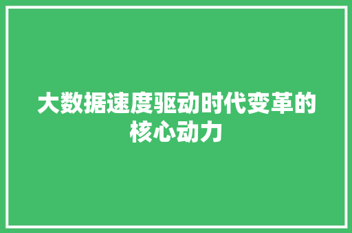 大数据速度驱动时代变革的核心动力