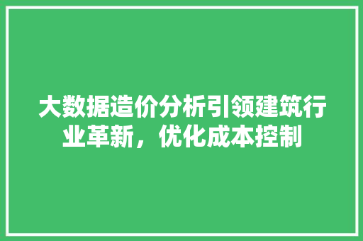 大数据造价分析引领建筑行业革新，优化成本控制