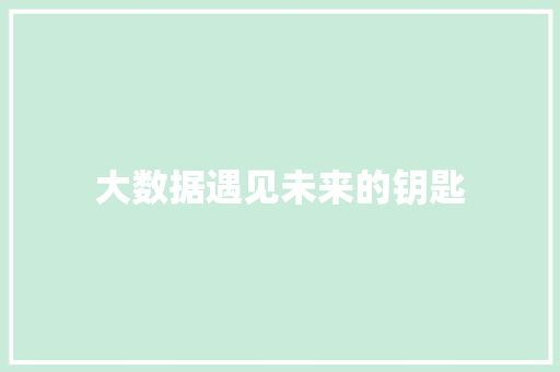 大数据遇见未来的钥匙