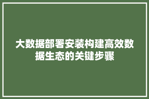 大数据部署安装构建高效数据生态的关键步骤