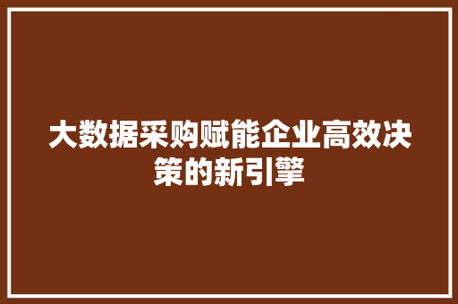 大数据采购赋能企业高效决策的新引擎