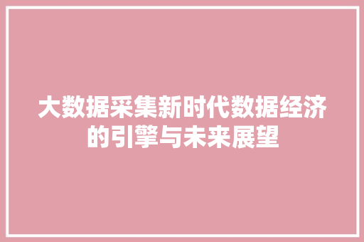 大数据采集新时代数据经济的引擎与未来展望