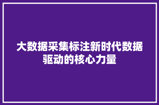 大数据采集标注新时代数据驱动的核心力量