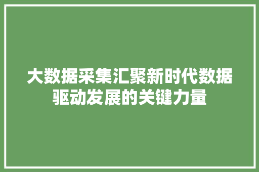 大数据采集汇聚新时代数据驱动发展的关键力量