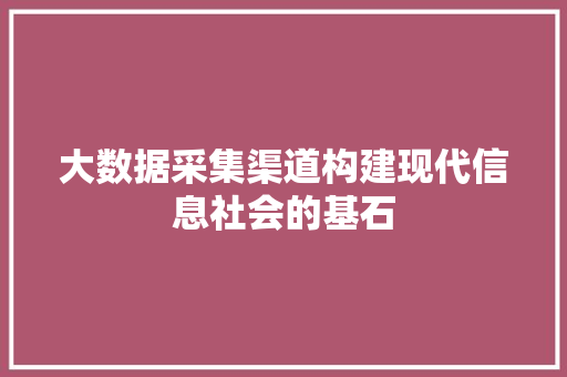 大数据采集渠道构建现代信息社会的基石