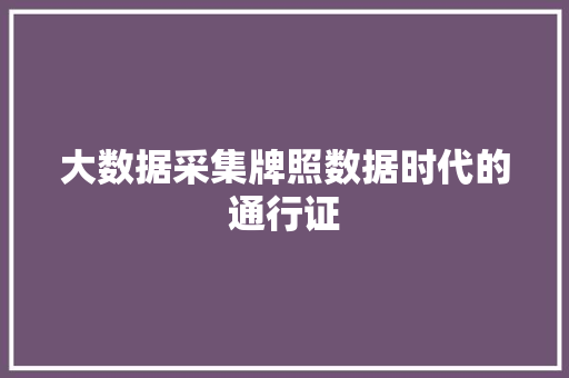大数据采集牌照数据时代的通行证