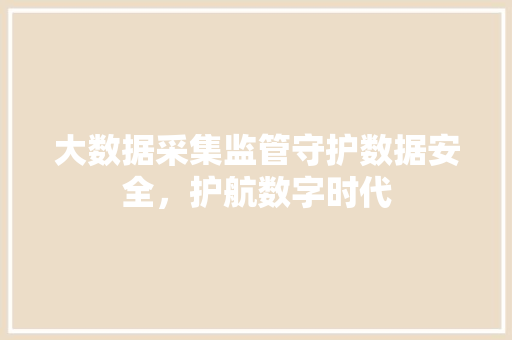 大数据采集监管守护数据安全，护航数字时代