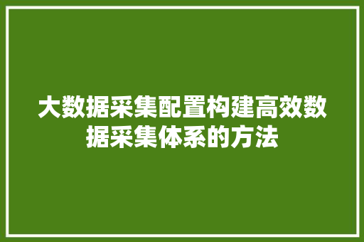 大数据采集配置构建高效数据采集体系的方法