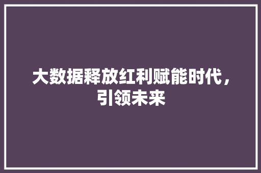 大数据释放红利赋能时代，引领未来