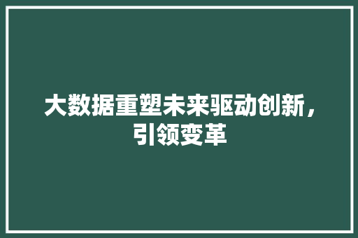 大数据重塑未来驱动创新，引领变革