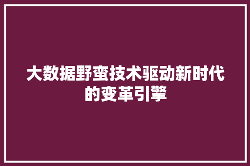 大数据野蛮技术驱动新时代的变革引擎