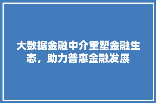 大数据金融中介重塑金融生态，助力普惠金融发展