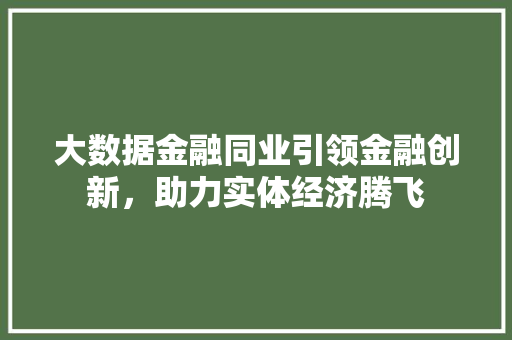 大数据金融同业引领金融创新，助力实体经济腾飞