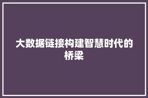 大数据链接构建智慧时代的桥梁